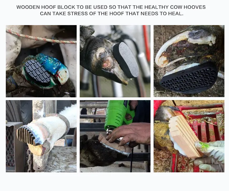 Animal Husbandry Product 2
