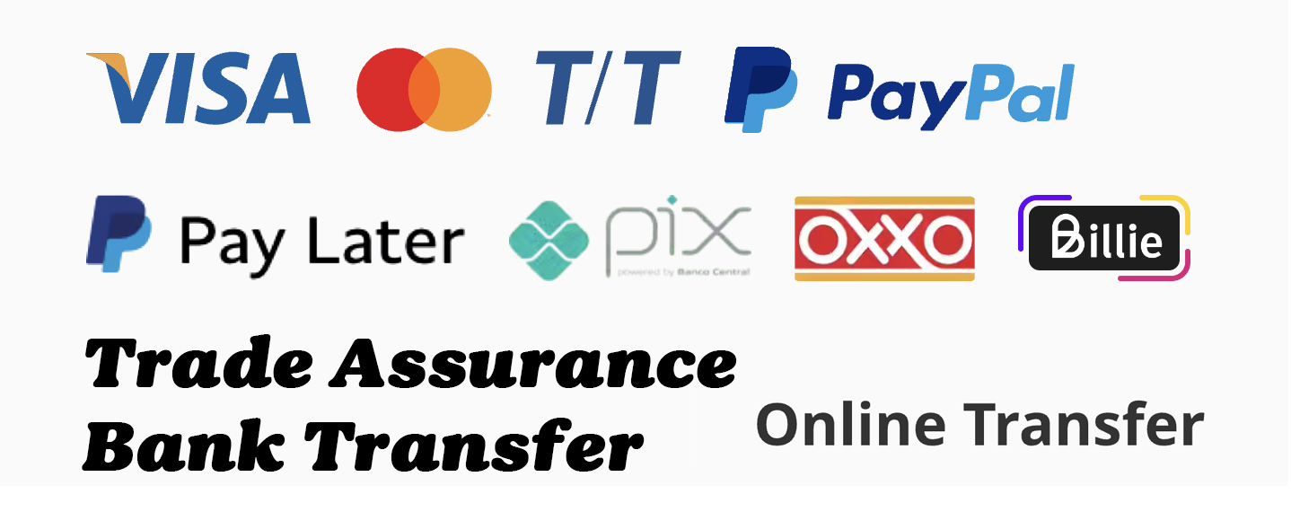 Secure Payment Options and Gateways