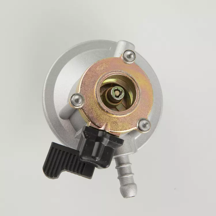 Long Lifetime Durable Kitchen Appliance LPG Gas Regulator Pressure Regulator for Gas Stove and Gas Cylinder