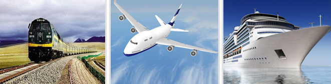 Logistics and Transport Options