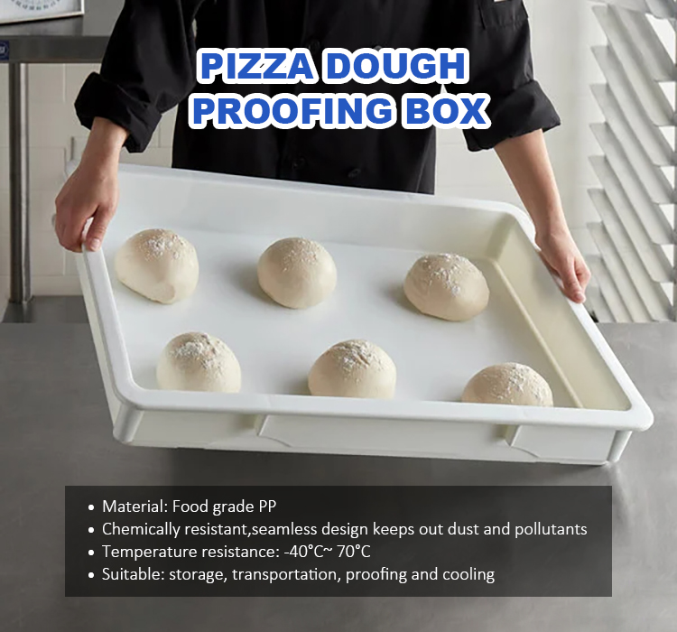 Product Description Image 1