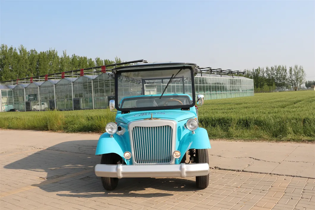 Vintage Car Detail 5