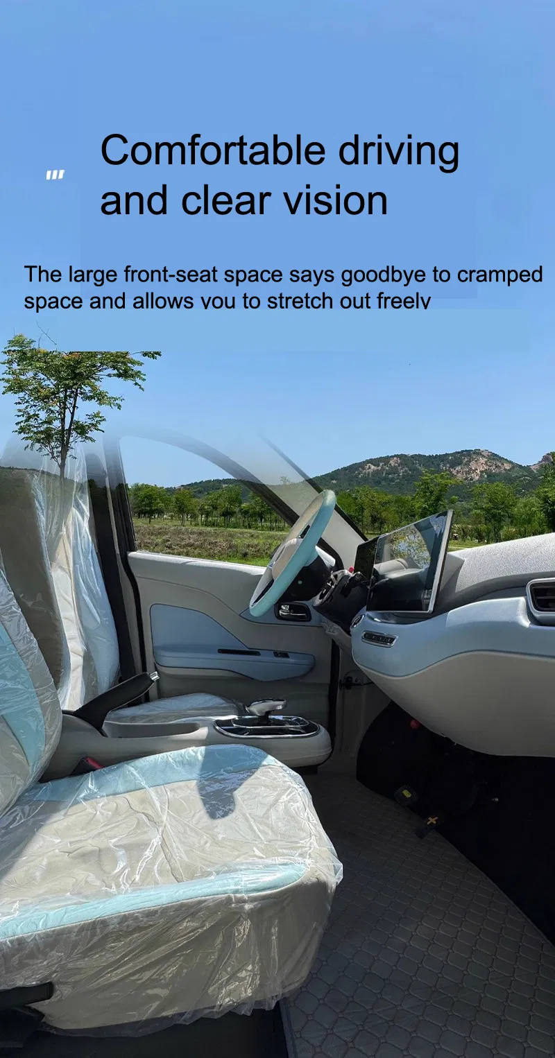 Electric Car Details