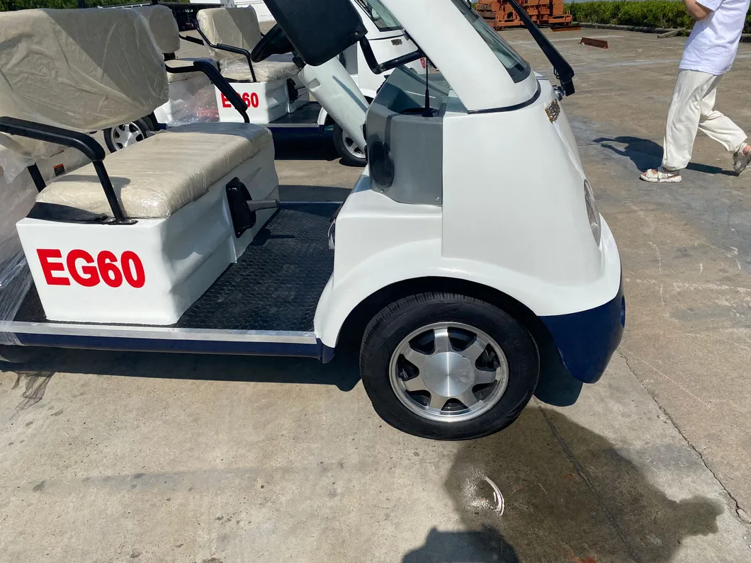 Electric Sightseeing Car View 3