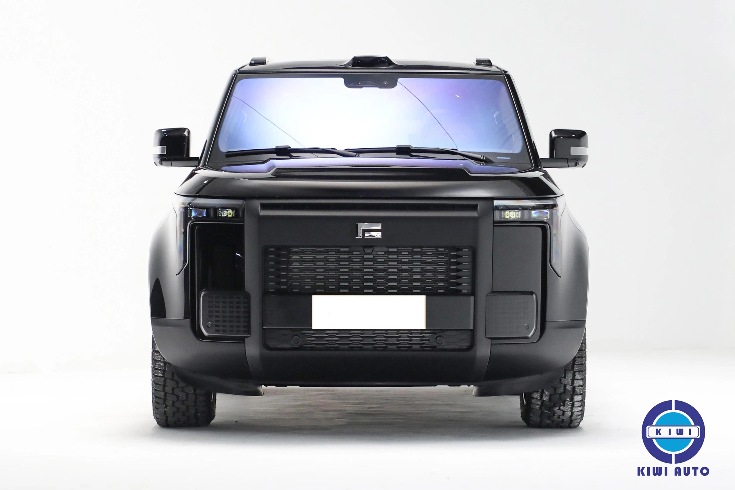 2025 Rox Polestones 01 Hybrid EV SUV Car 7 Seat Used/New Extended Range Electric Vehicle Jishi Roxnotor 01