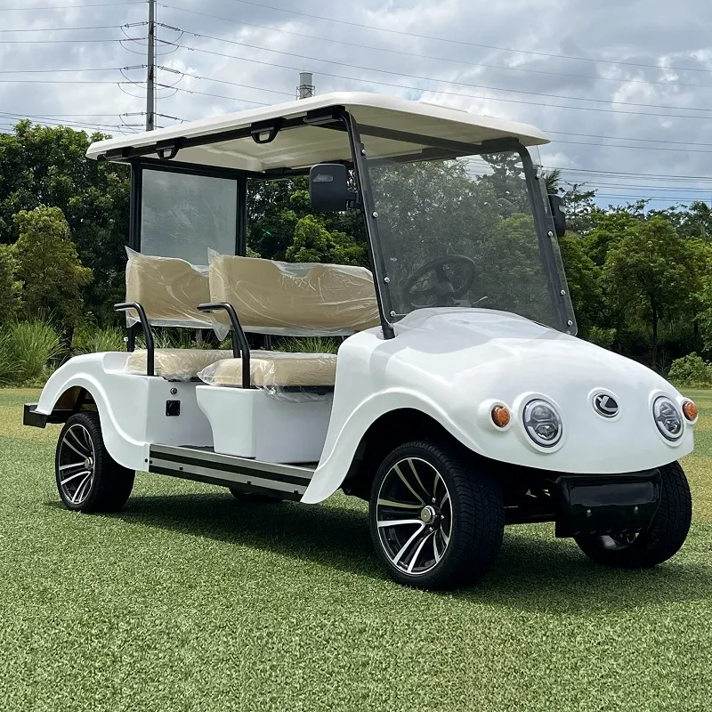 Golf Car View 2