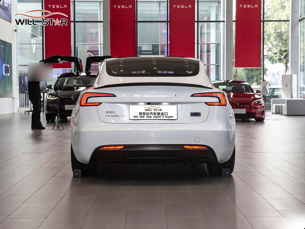 Tesla Model 3 Performance