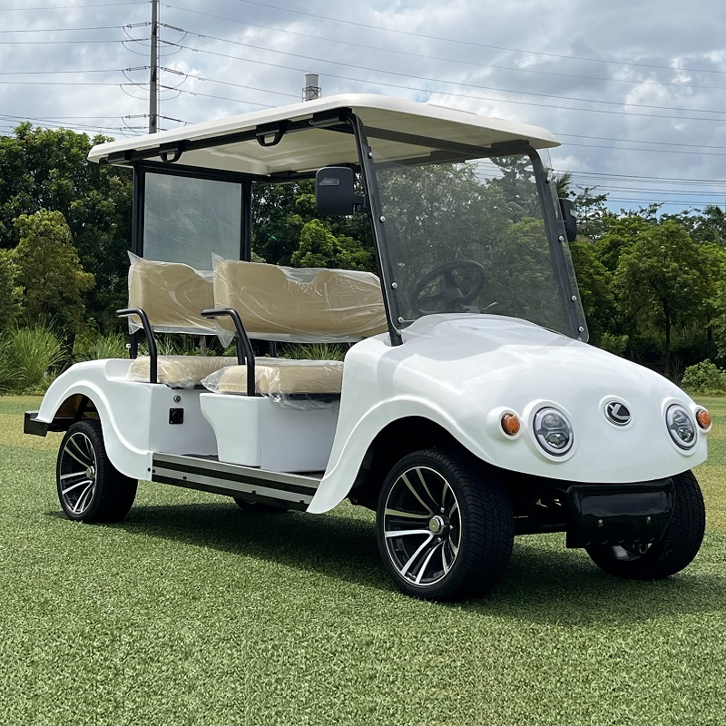 Vintage Lithium for Commercial Use with EPS and Disc Golf Car