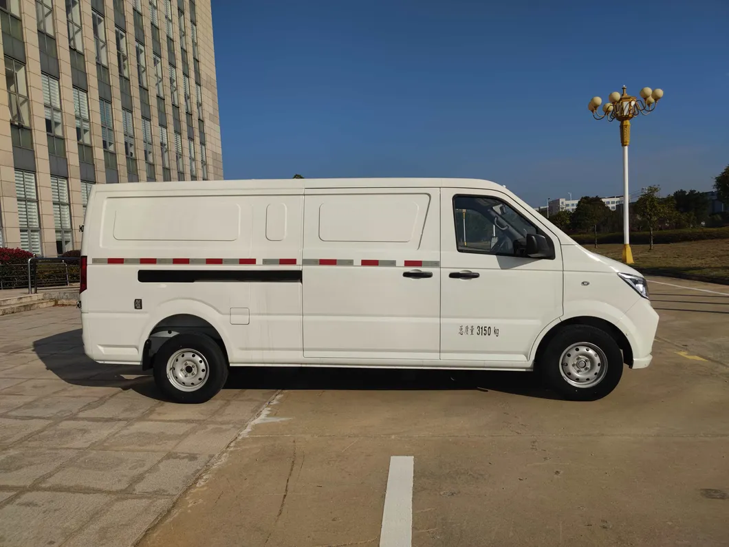 Electric Cargo Minivan