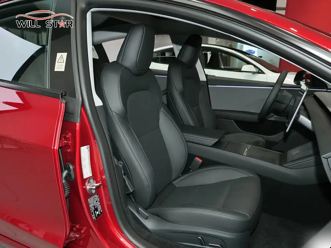Tesla Model 3 Door