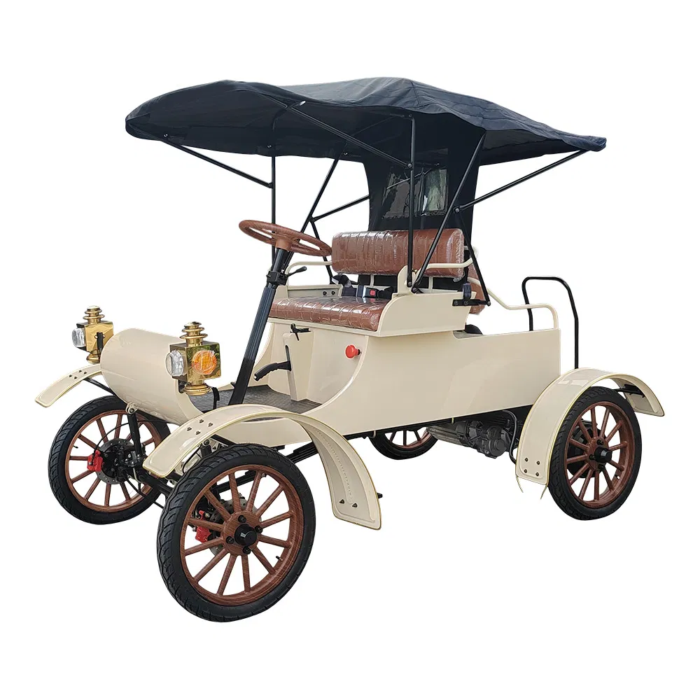 Old Style Electric Vintage Classic Car on Sale