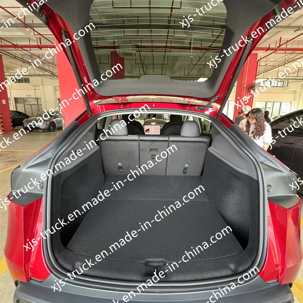 Tesla Model Y Feature