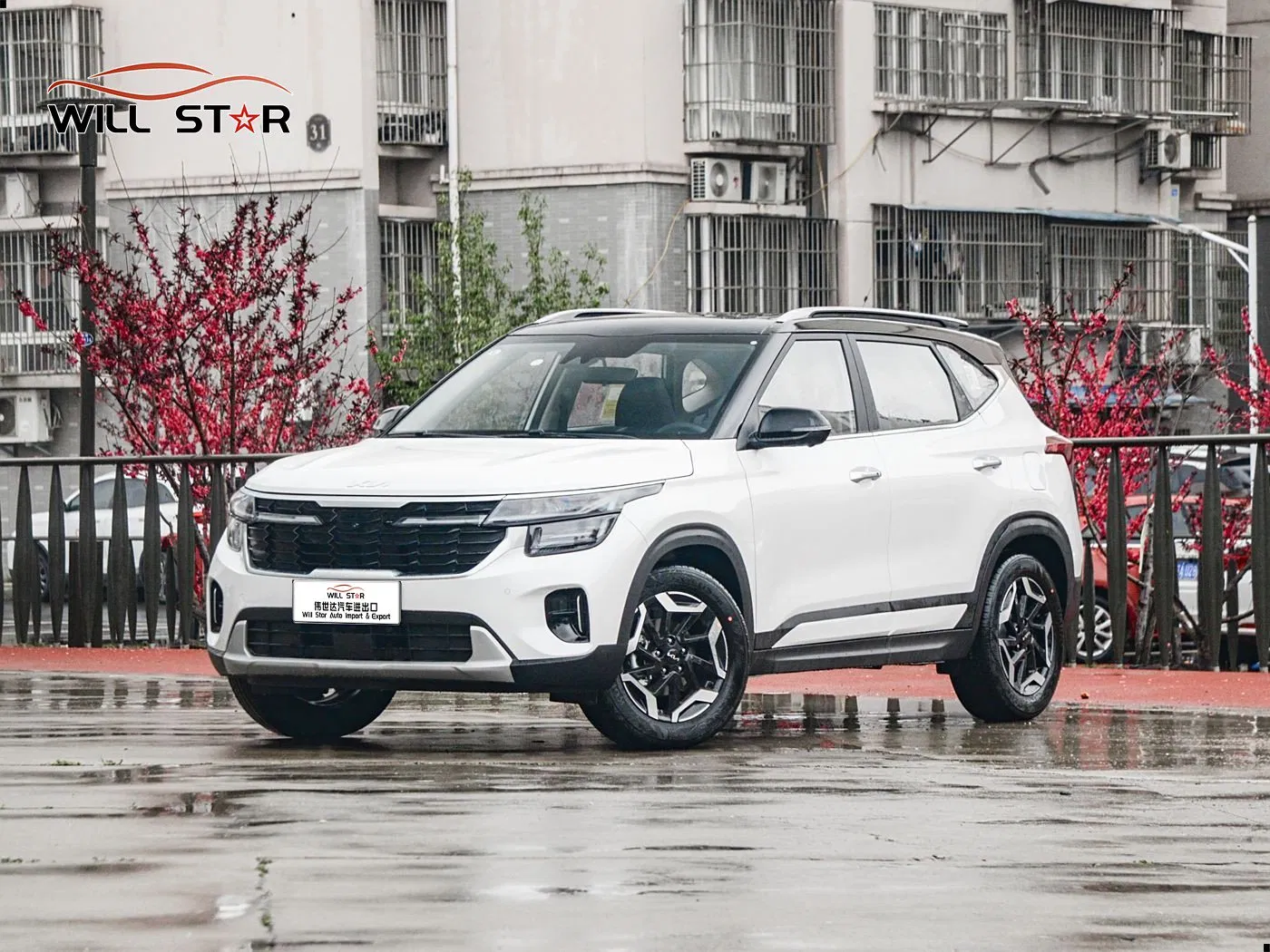 KIA Seltos Used Car 5-Door 5-Seat Petrol Fashion Edition 1.5L CVT Fwd Luxury Conventional Fuel Vehicles Gasoline Car