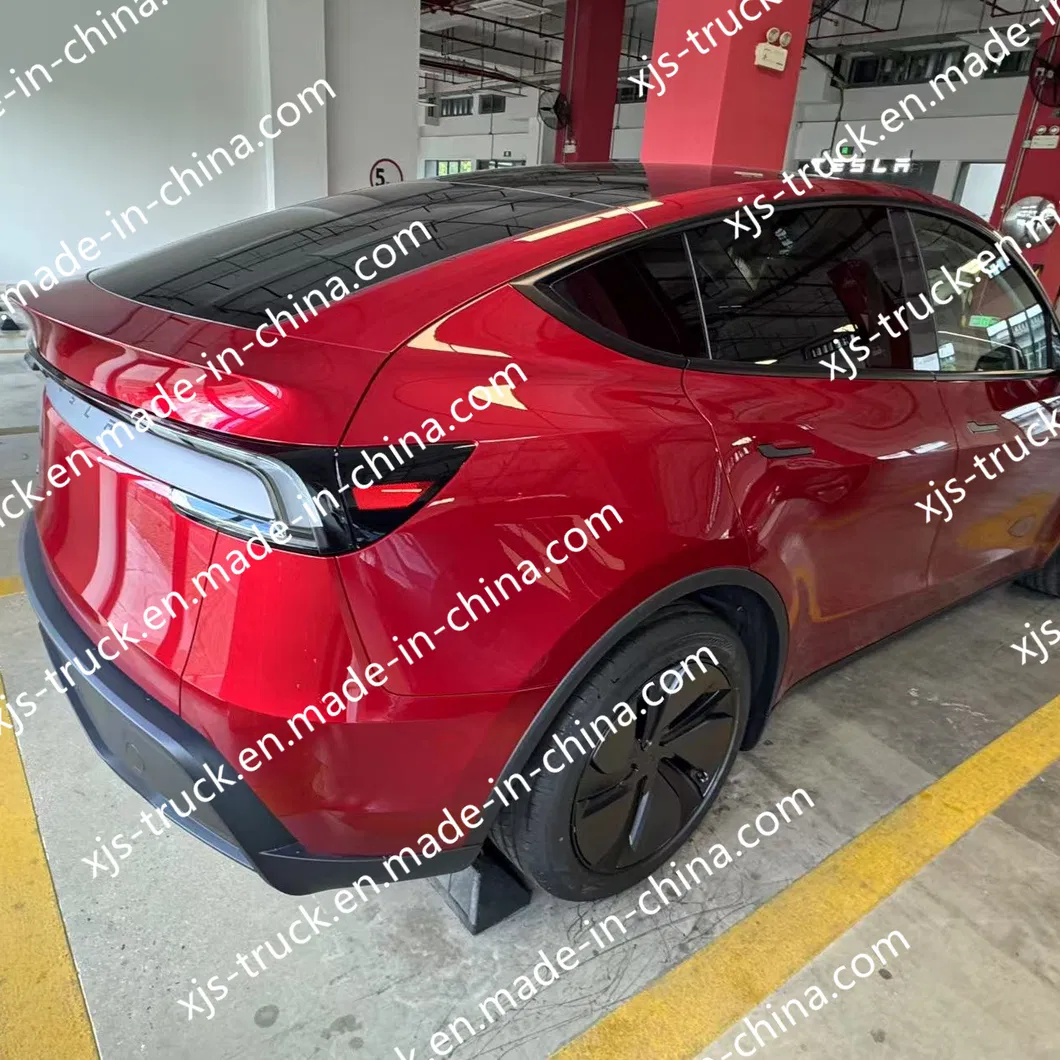 Tesla Model Y Detail