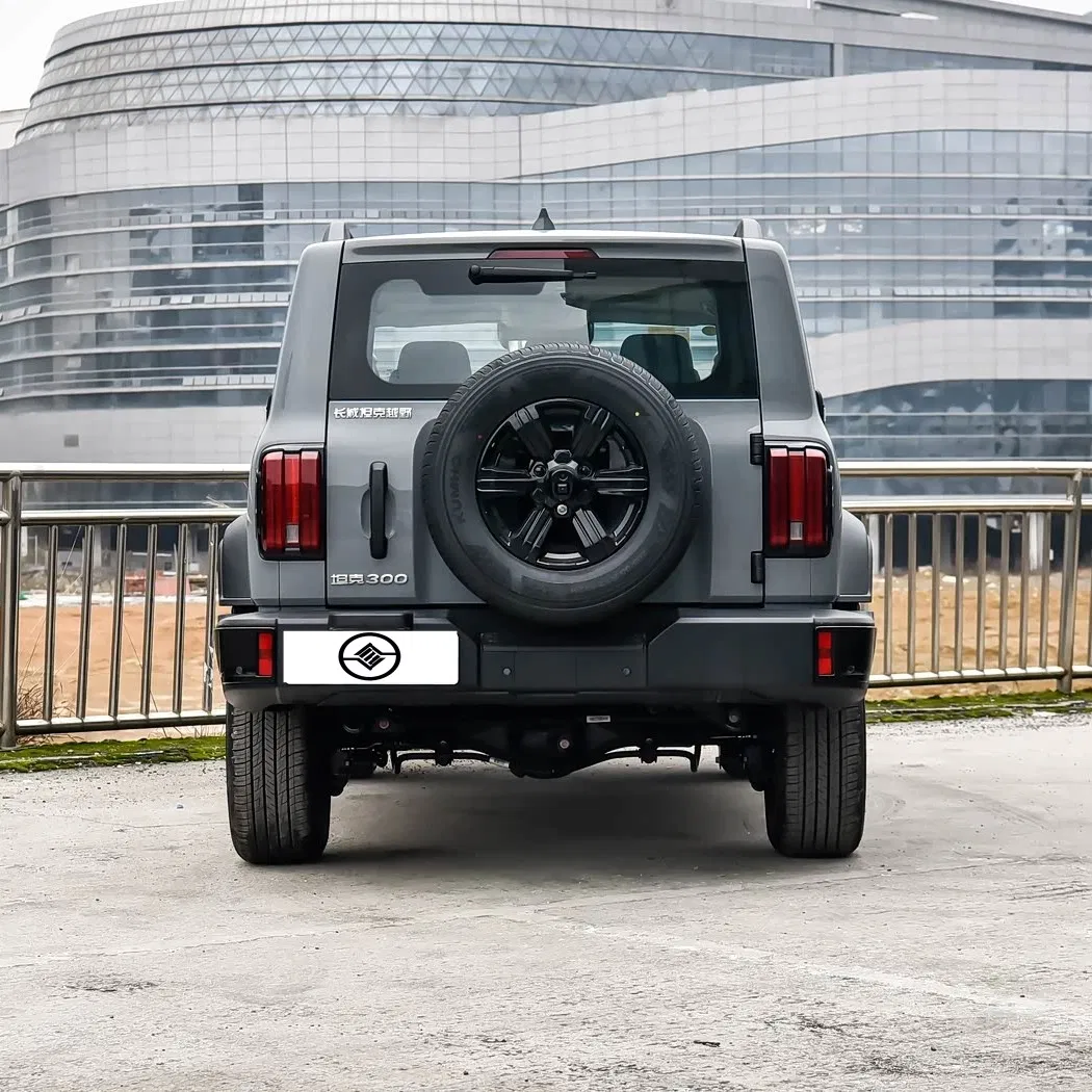 Chinese-Made Tank 300 SUV - 2.0t Diesel/Gasoline Options for Global Extreme Climate Markets Used Car