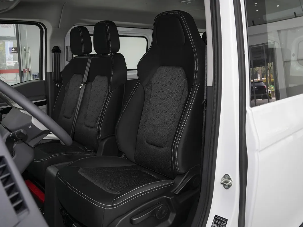 Pioneer Official V Detail