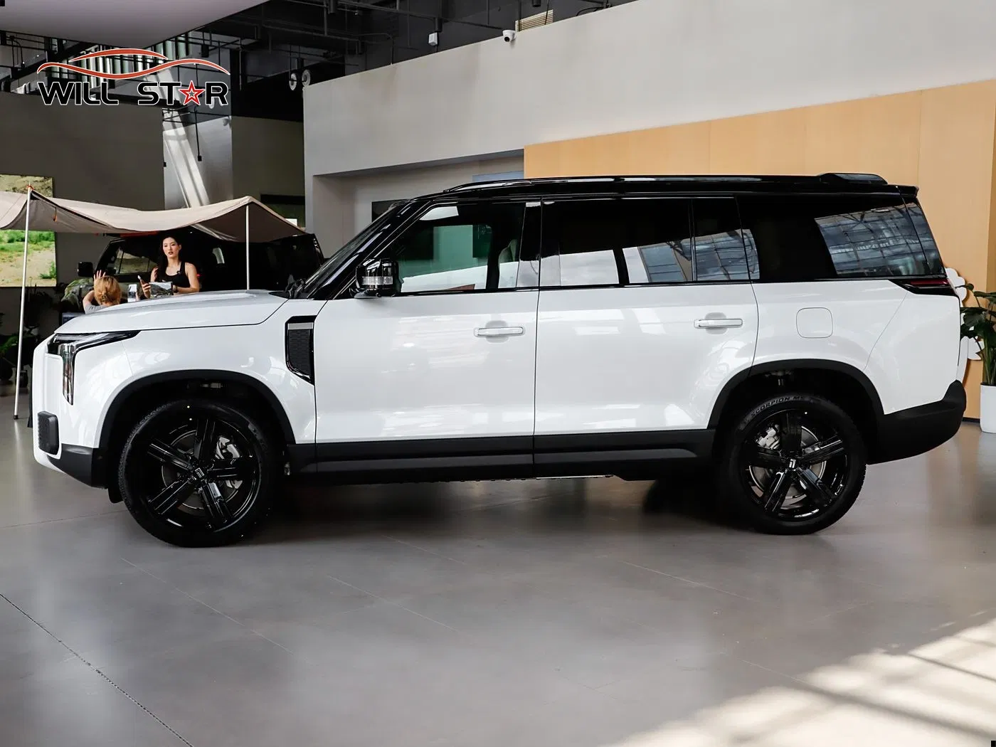 Deposit Rox Polestones 01 Medium and Large SUV New Energy Car Extended Range Electric Vehicle off Road Used Electric Cars