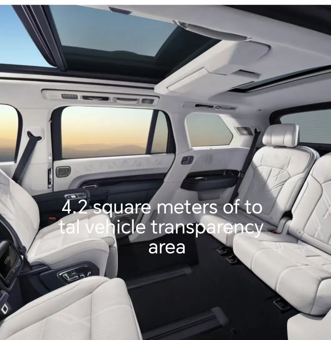 Zeekr 9X Performance