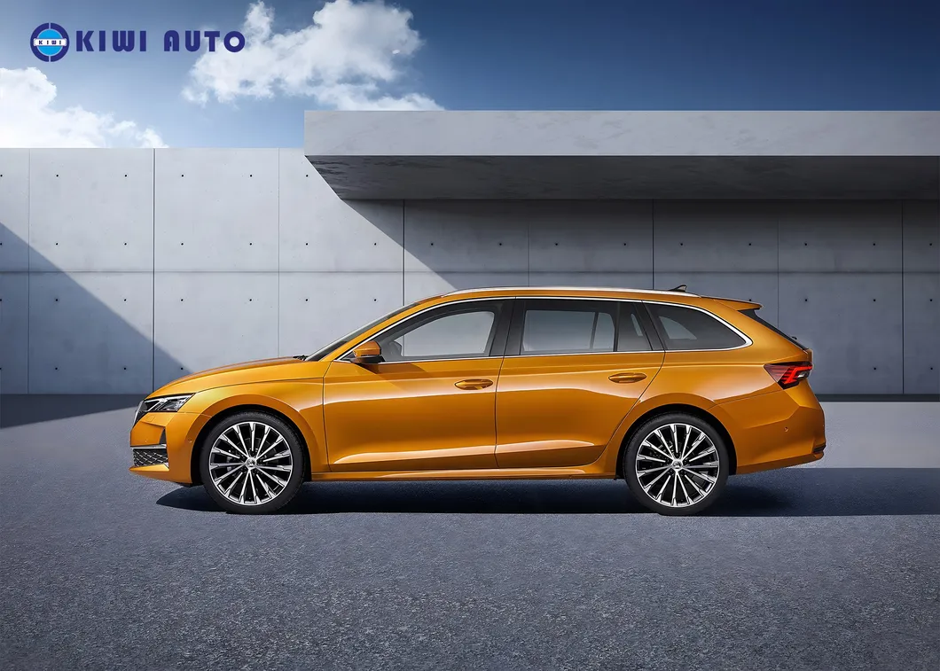 Octavia PRO Rear View