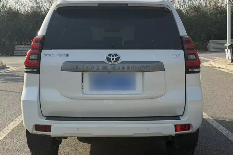 Prado Rear View