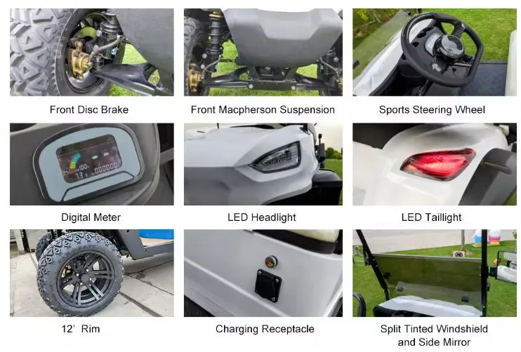 Electric Vehicle Models