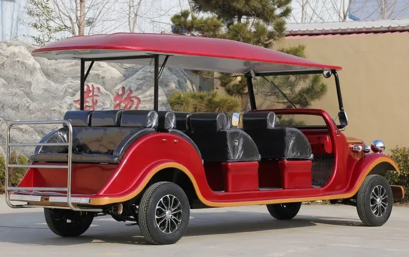 Electric Sightseeing Bus