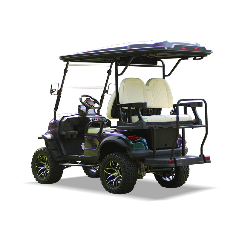 Commercial Recreational Electric Vehicle for Airports Golf Cart with Lightweight Design
