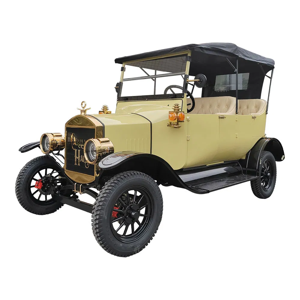 Luxury Electric Vintage Car Detail