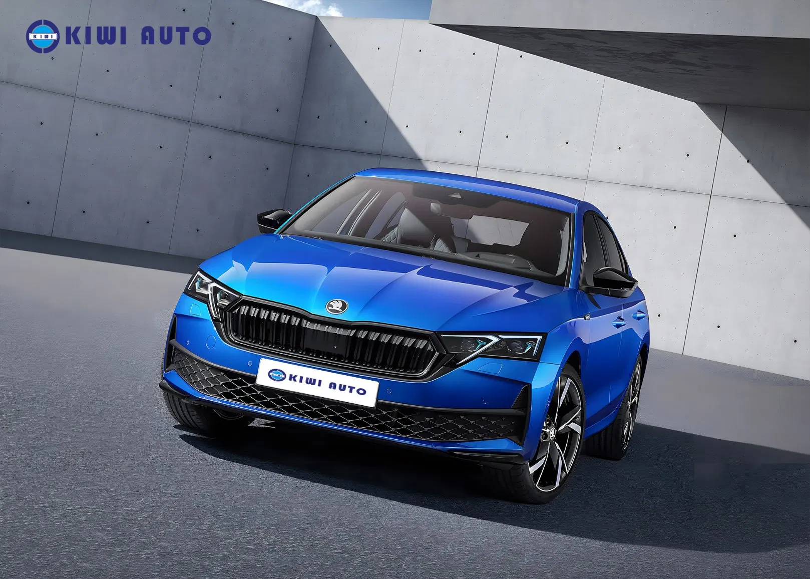 on Sale Skoda Auto Octavia PRO Low Fuel Consumption Used Vehicle 5 Seats Gas Hatchback