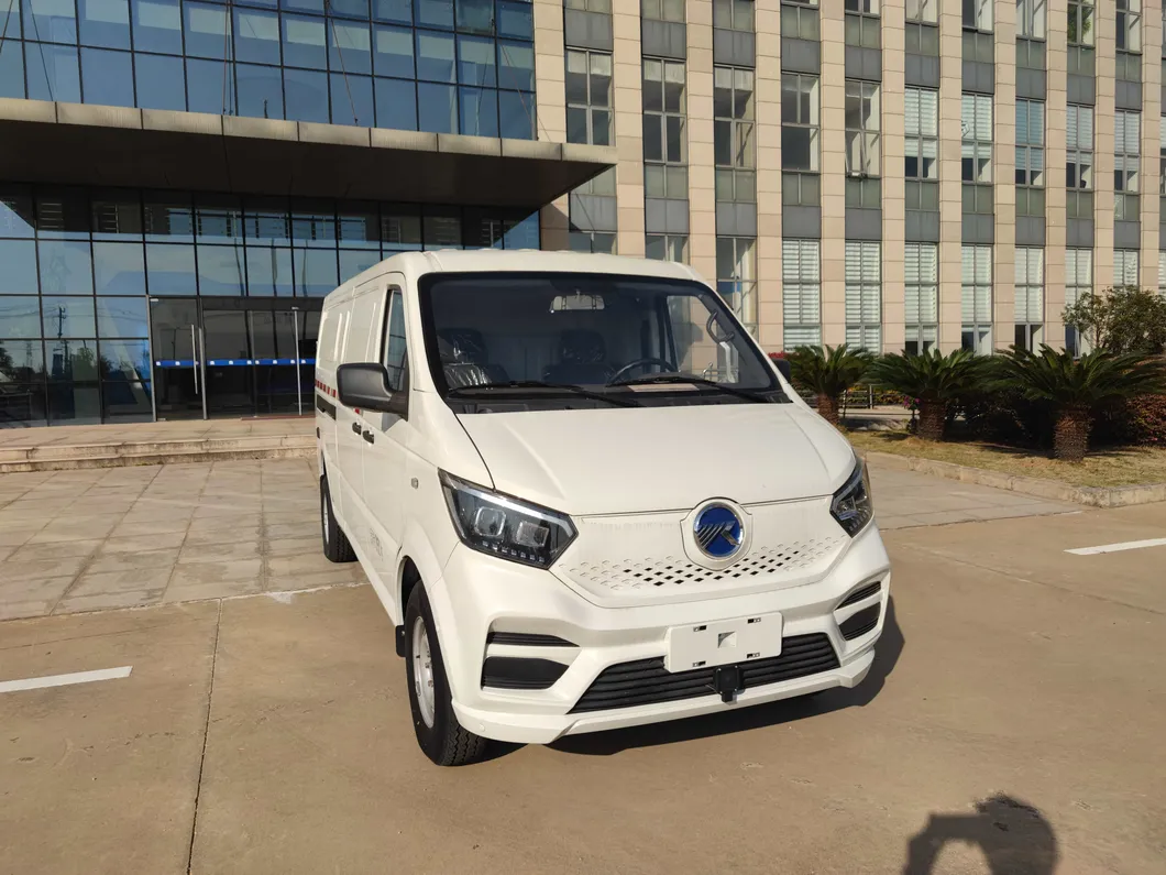 Electric Cargo Minivan
