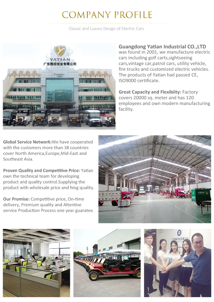 Electric Vintage Car Detail 1