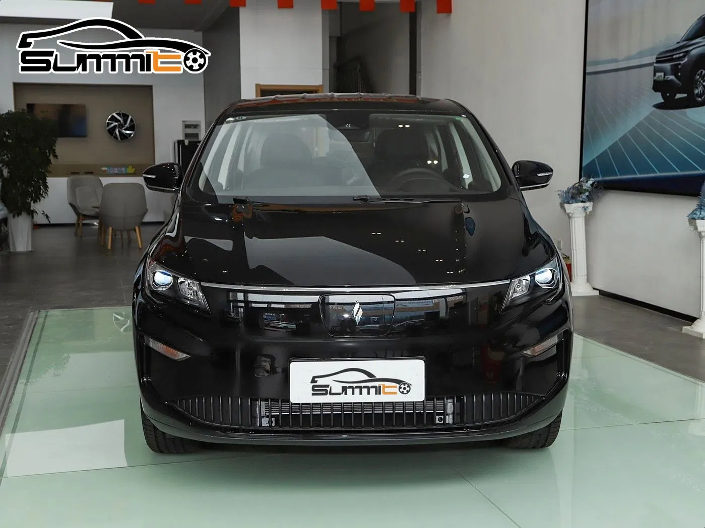 Premium Livan 8 Long Range Business Family Transport Electric MPV Minivan From China