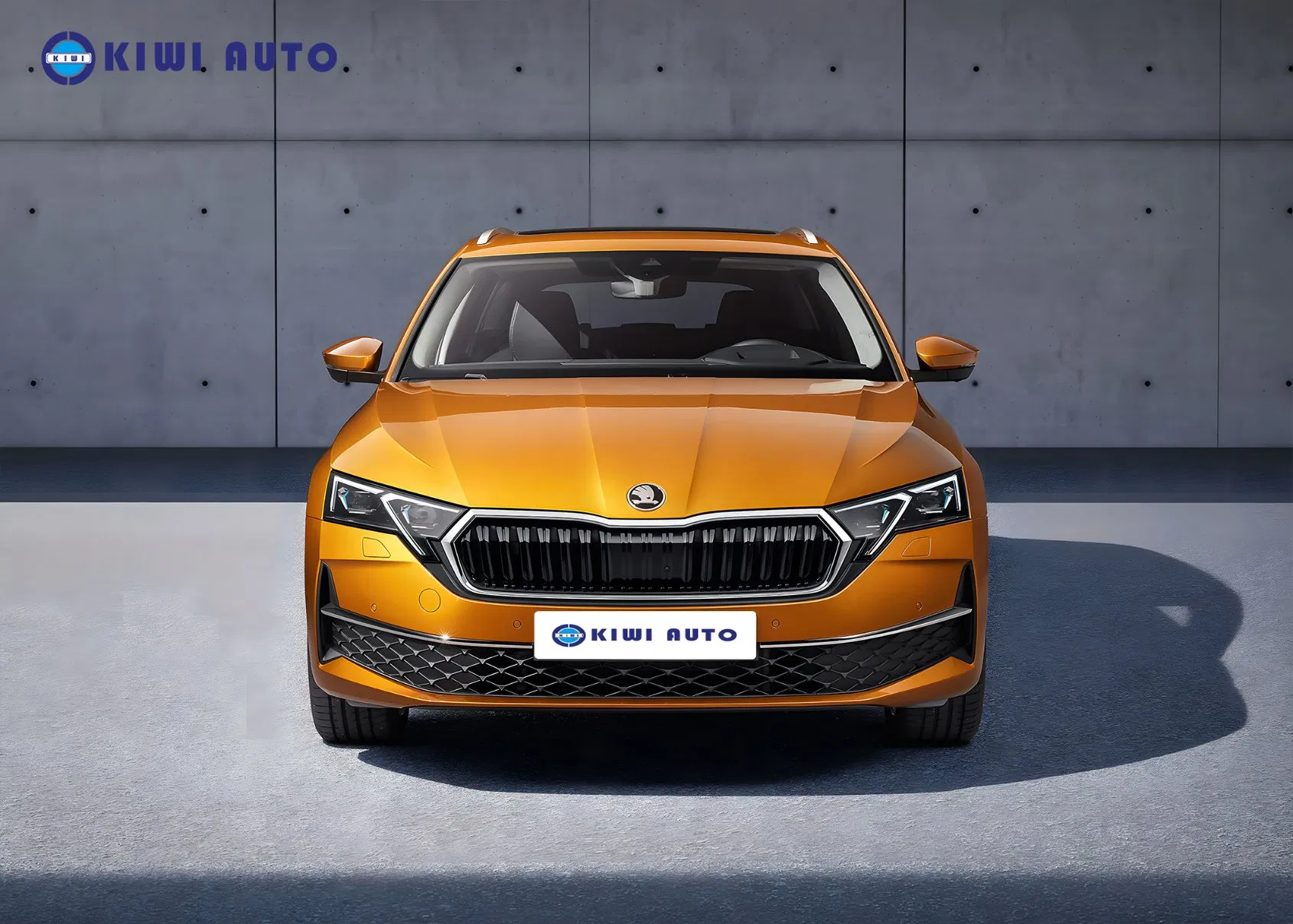 on Sale Skoda Auto Octavia PRO Low Fuel Consumption Used Vehicle 5 Seats Gas Hatchback