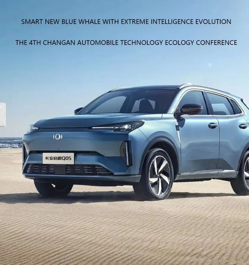 Changan Qiyuan Q05 Detail