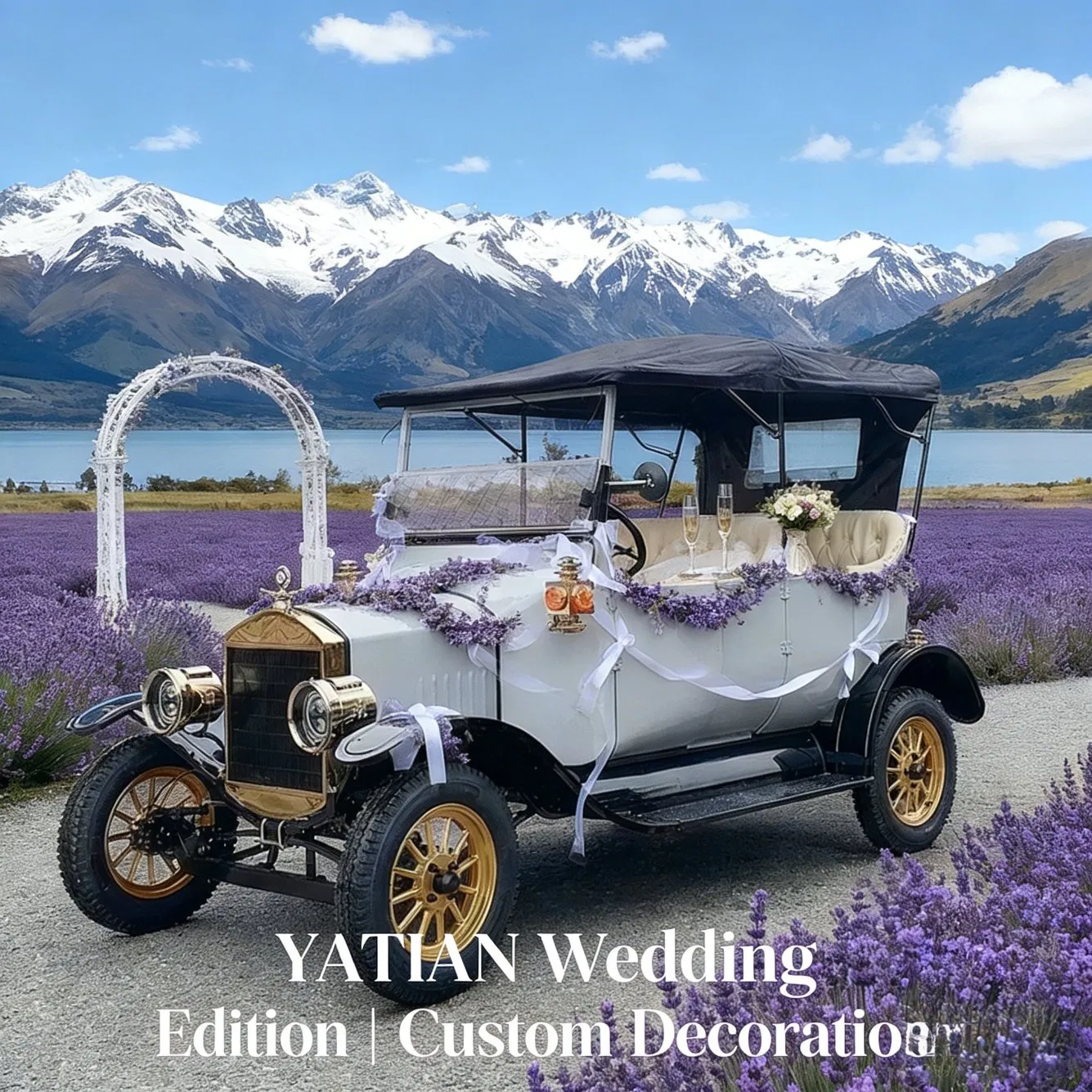 Luxury Electric Vintage Car for Sightseeing and City Tour