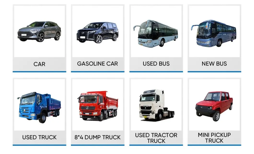 Haice Minivan Side View