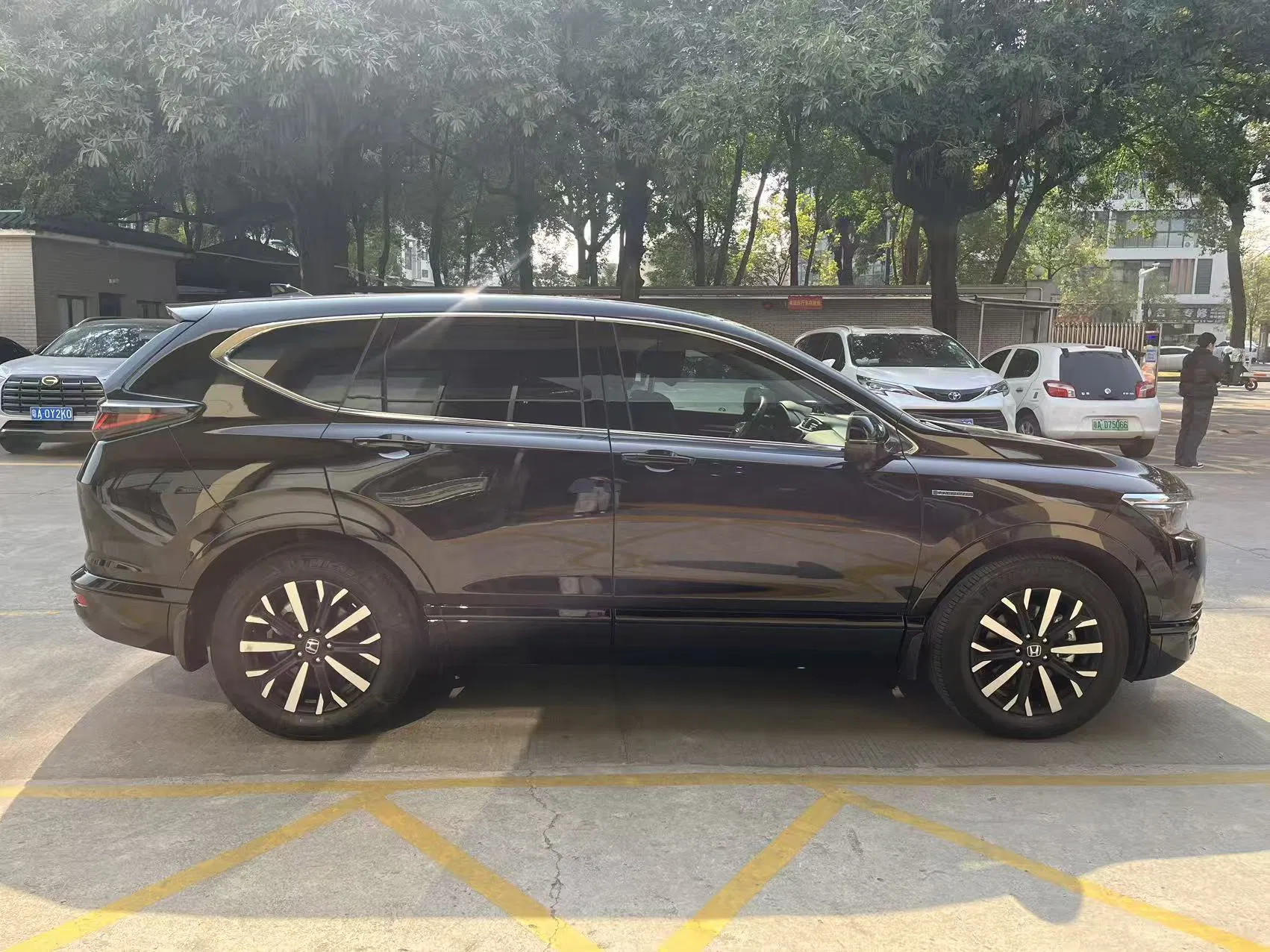 2020 Breeze Hybrid: 2.0L, Luxury, Fuel-Saving used car