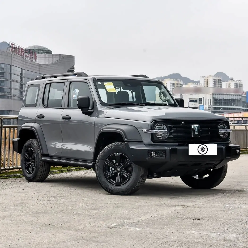 Chinese-Made Tank 300 SUV - 2.0t Diesel/Gasoline Options for Global Extreme Climate Markets Used Car