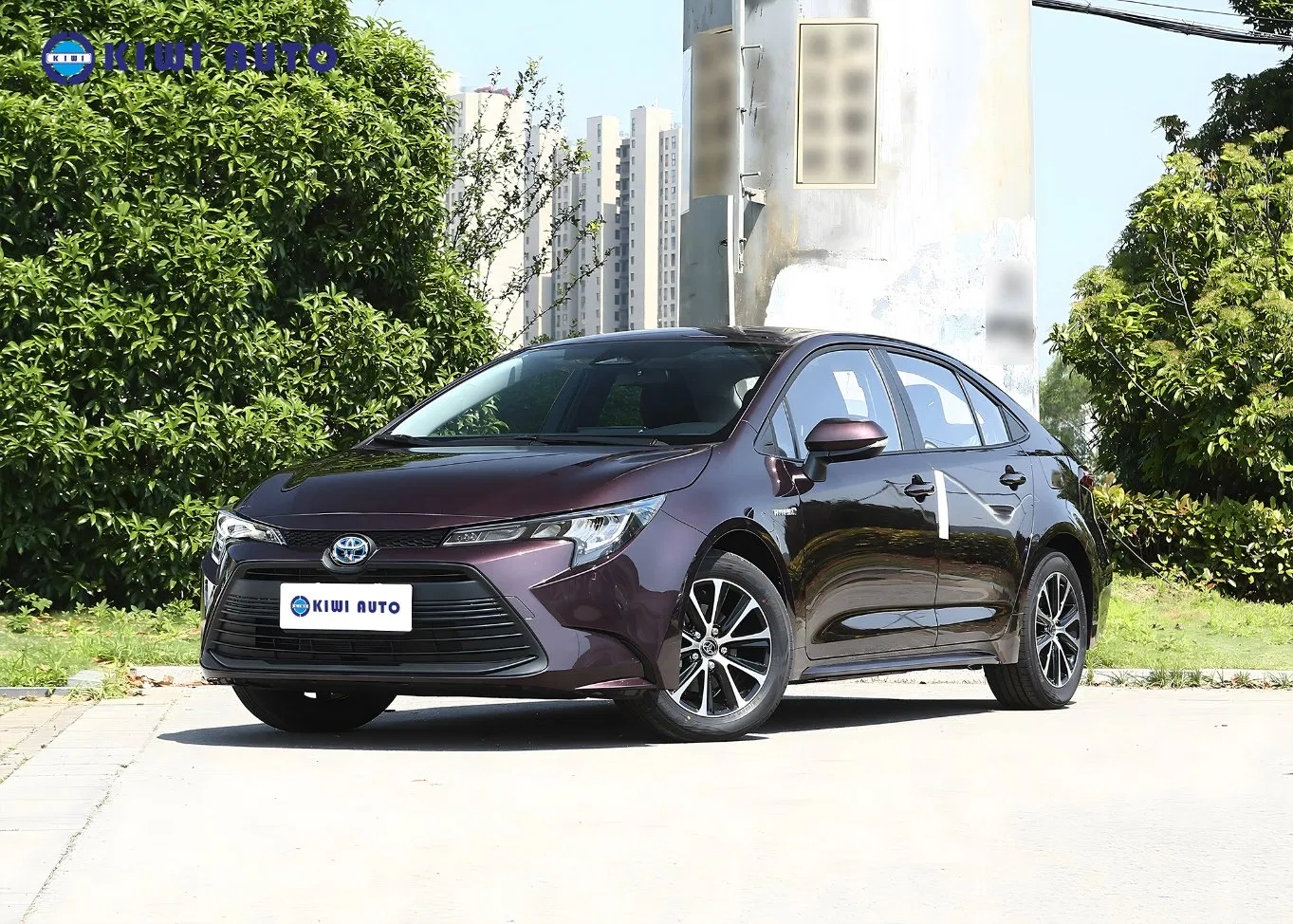 Cheap Used Car Toyota Sedan Levin Secondhand Family Cars Fuel Vehicle Car