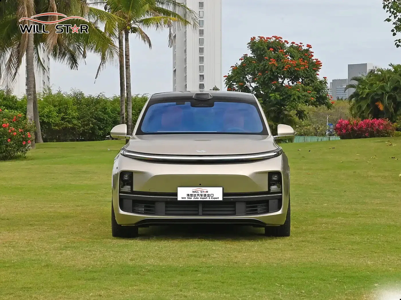 Lixiang SUV Car Lixiang L8 Auto China Used Car Li L8 Automobile Hybrid Electric Vehicle Car