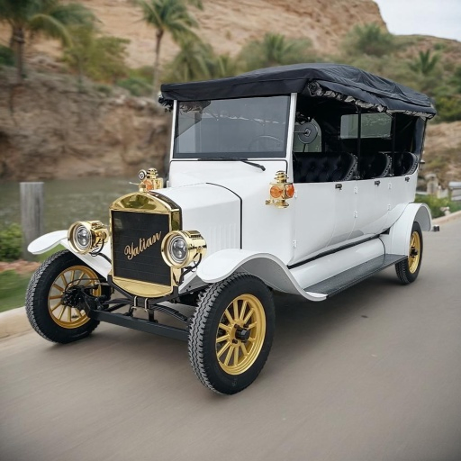 8-Person Vintage Electric Car for Scenic Tours and Sightseeing