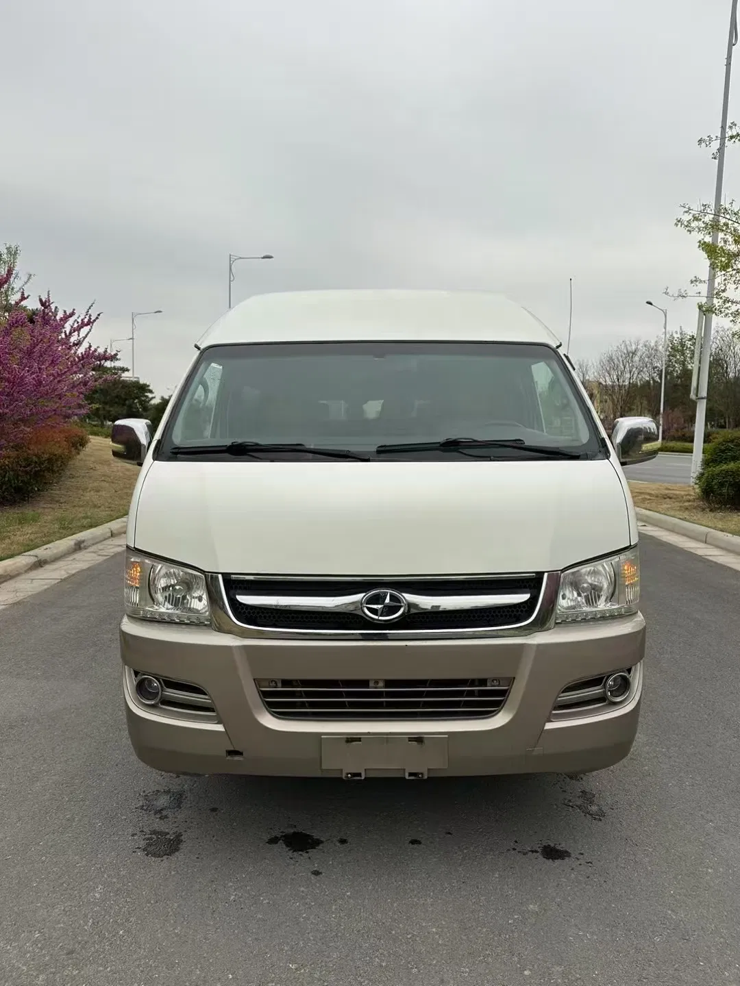 Haice Minivan Front View