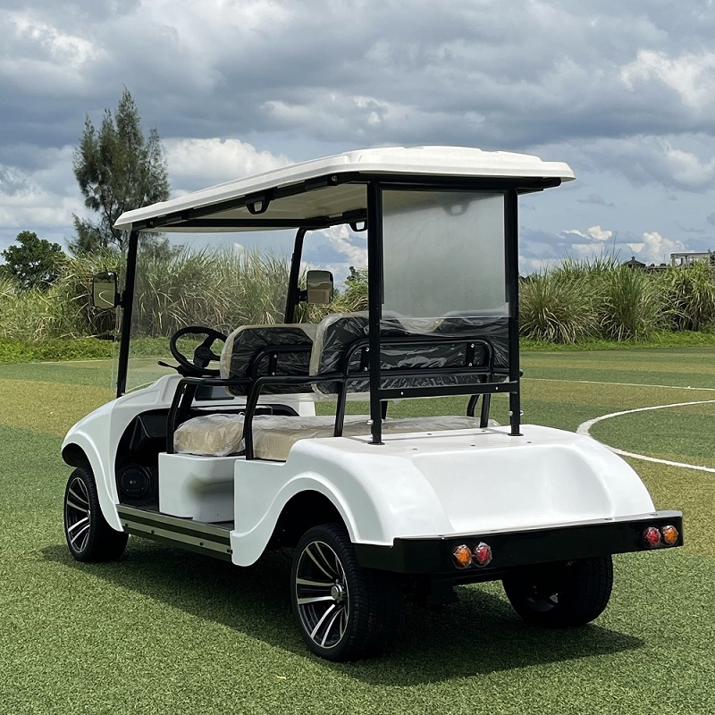 Vintage Lithium for Commercial Use with EPS and Disc Golf Car