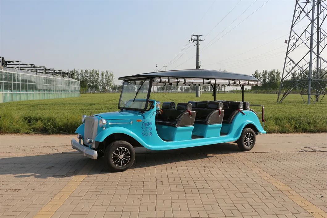 Vintage Car Detail 4