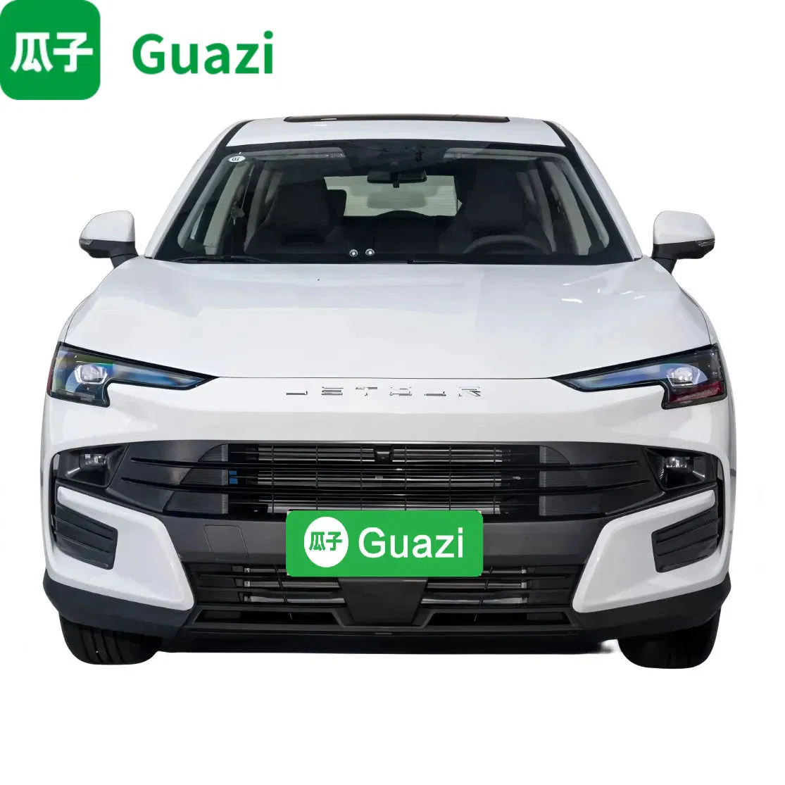 Guazi Used Cars Jetour Dasheng Dashing New Electric Car SUV Hot Sale