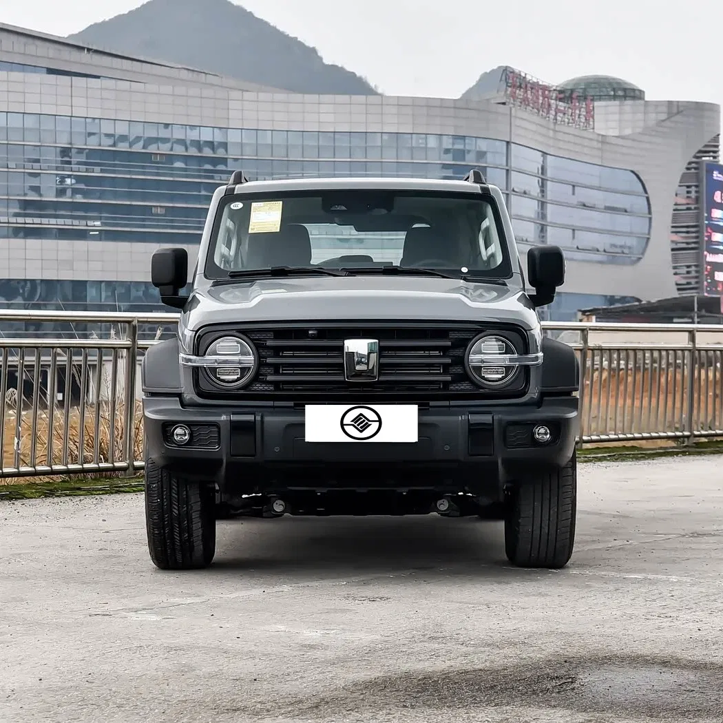 Chinese-Made Tank 300 SUV - 2.0t Diesel/Gasoline Options for Global Extreme Climate Markets Used Car