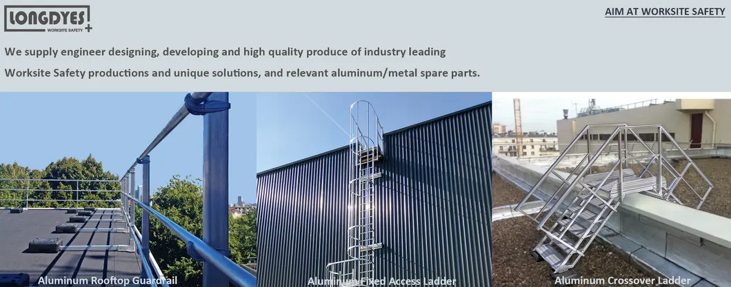 Professional Service Overview