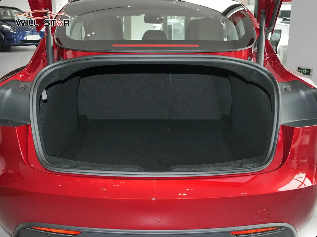 Tesla Model 3 Light
