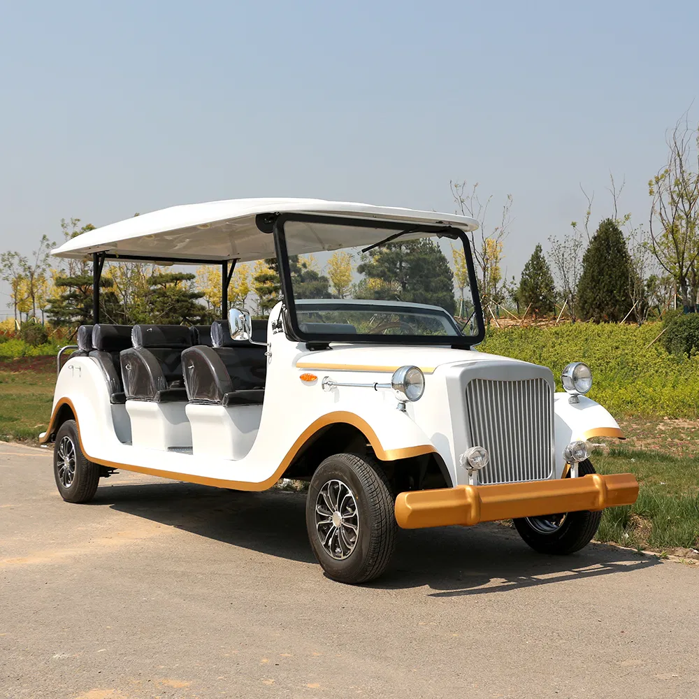 Vintage Car Detail 1