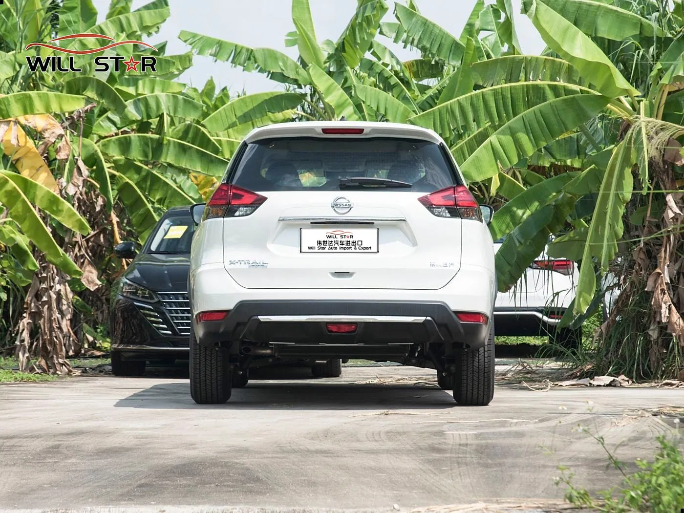 2025 New and Used Nissan X-Trail Conventional Fuel Vehicles Gasoline Car Family Car off Road 4 Door 5 Seat SUV Vehicle